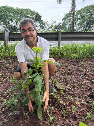 1 (1) (1) (1) (1) (1)